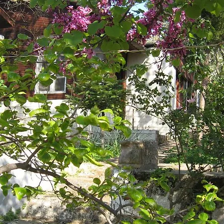 Dostlar Alloggio in famiglia Ayvalı