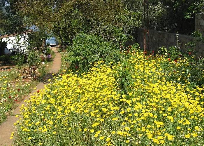 Ubytování v soukromí Dostlar